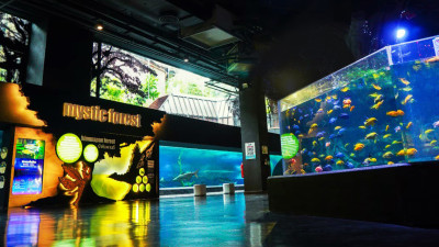 Aquaria Phuket + AR Trick Eye Museum