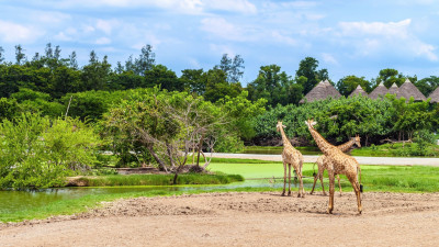 Safari World Bangkok