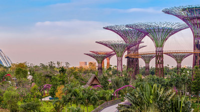 Gardens by the Bay