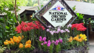 Vườn lan National Orchid Gardens