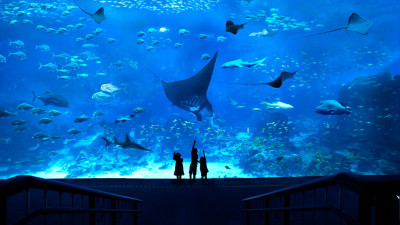 Thủy cung Singapore Oceanarium
