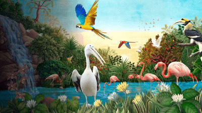 Bird Paradise, Singapore Zoo, Night Safari, River Wonders
